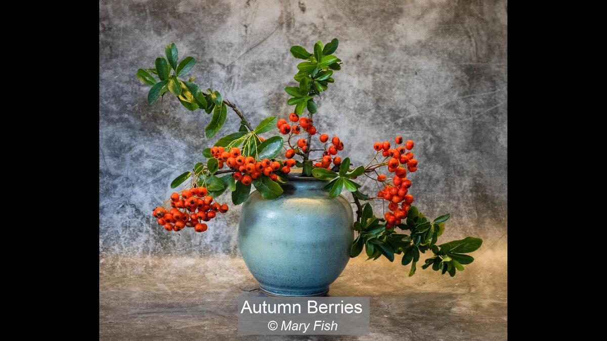 08_Autumn Berries_Mary Fish